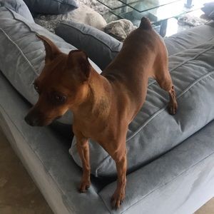 Meet your Posher, Ron